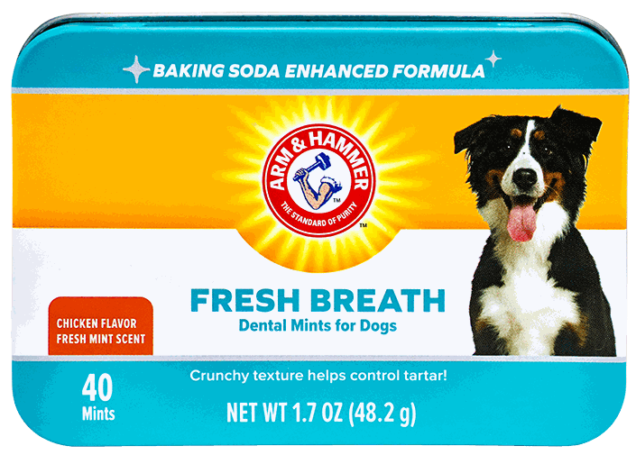 FIELIN ADVANCED DENTAL MINTS