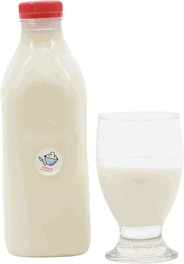 MUBRAVO YOGURT NATURAL S/AZ 32 OZ