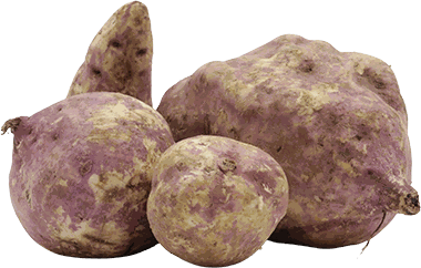 BATATA ROJA LB