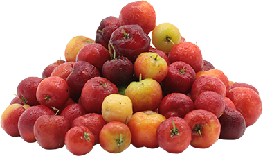Cerezas Selecta1.10 LB