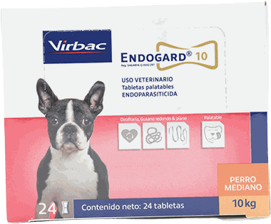 DIPRO ENDOGARD 10G