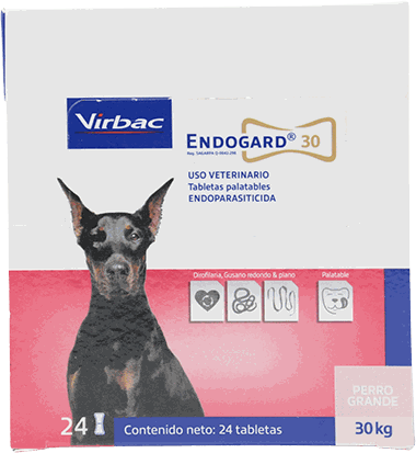 DIPRO ENDOGARD 30G