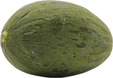 MELON PIEL DE SAPO UN