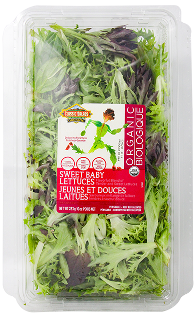 CLASSIC SAL LECHUGA DULCE ORG 10 OZ