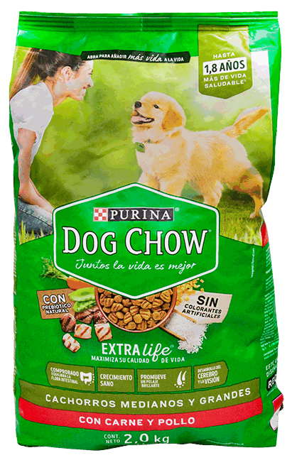 PURINA DOG CHOW PUPPY RAZA M&G 12X2 KG