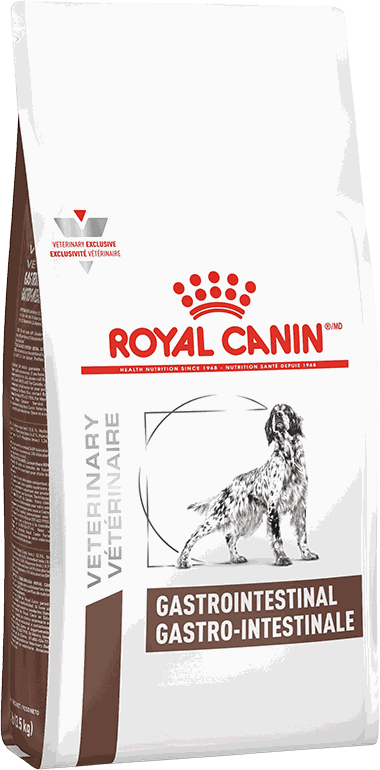 ROYAL C VD G INTESTINAL CANINE 2 KG