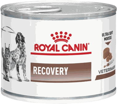 ROYAL C WET RECOVERY FEL/CAN TRAY 195GR