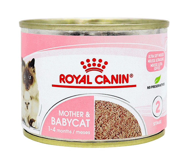 ROYAL CANIN BABYCAT EAST 195G