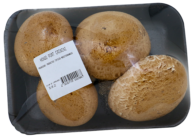 Hongo Portobello CreminiLB