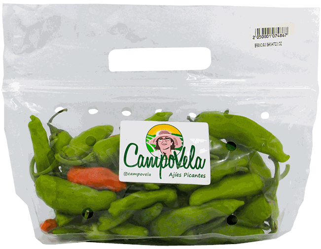 AJI SHISHITO 8 OZ
