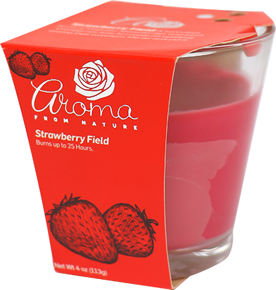 AROMA VELON STRAWBERRY FIELD 4 OZ