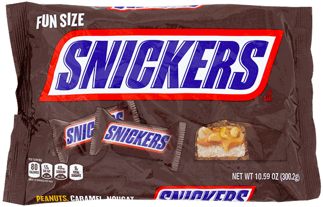 SNICKERS FUN SIZE 10,59 OZ
