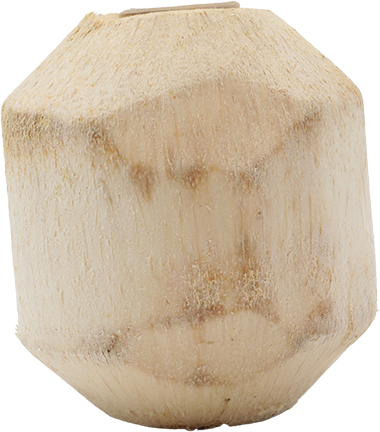 Coco De Agua PreparadoUND