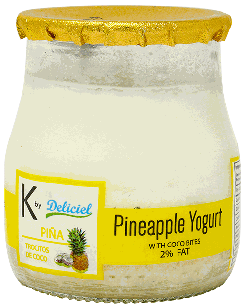 DELICIEL YOGURT PIÑA COCO 4 OZ