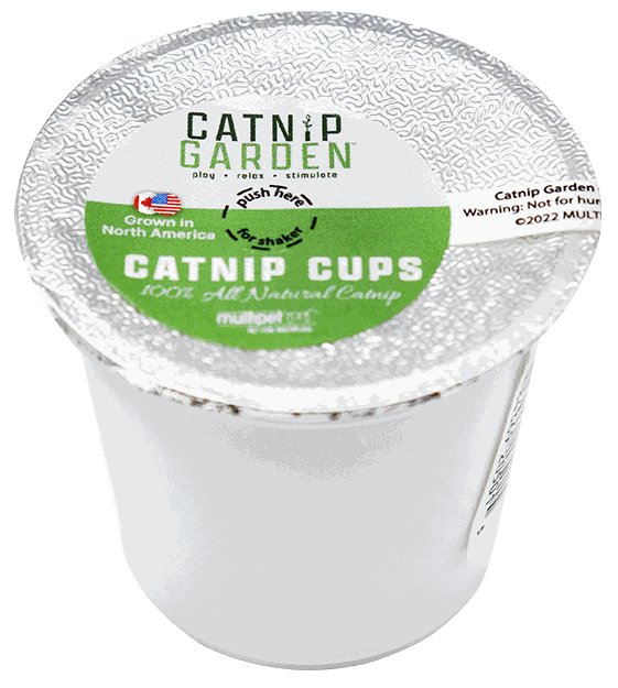 MULT CATNIP K-CUP