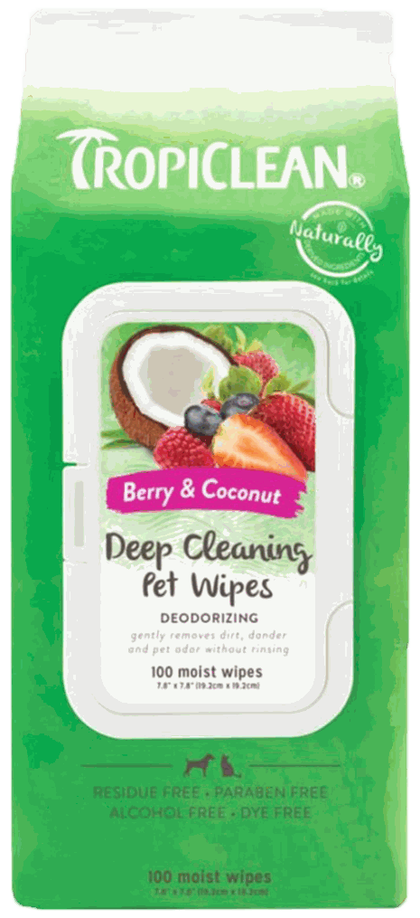 CENTRAL TROPIC GRMG WIPES SURT 100CT