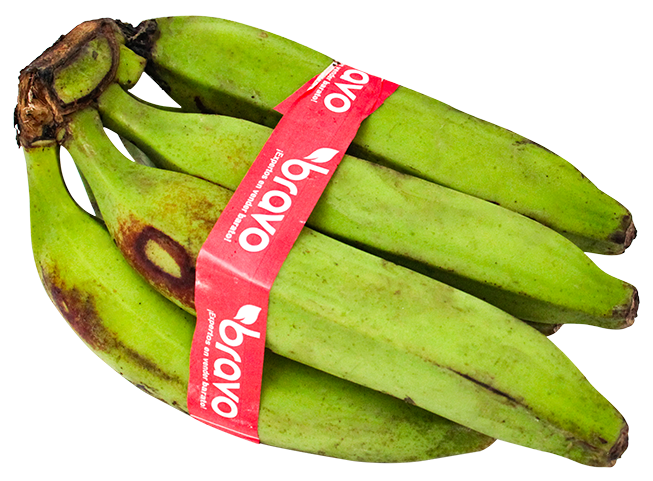 PLATANO FHIA PAQ 6 UN