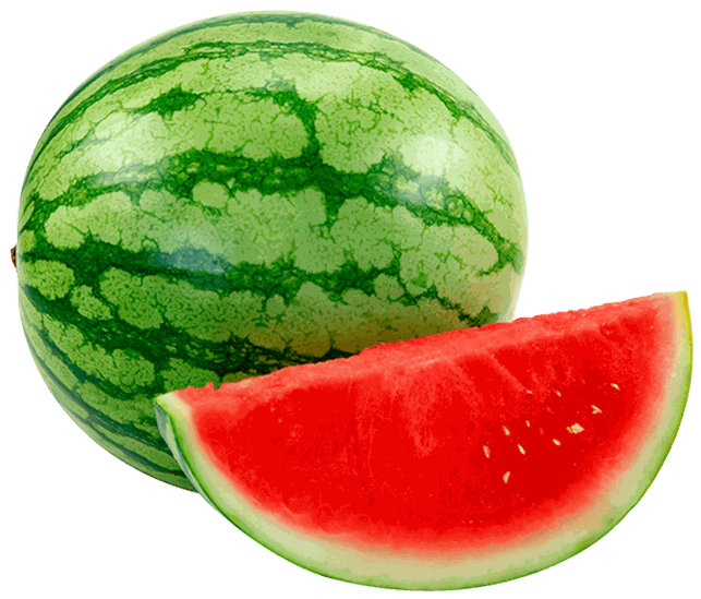 MINI SANDIA UN