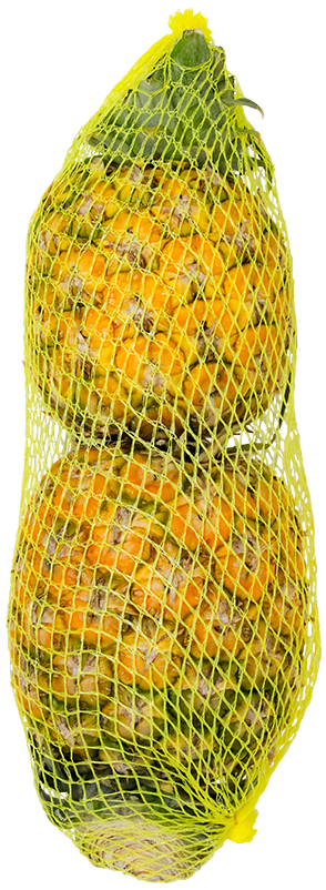 Piña Md2 Malla2 UND