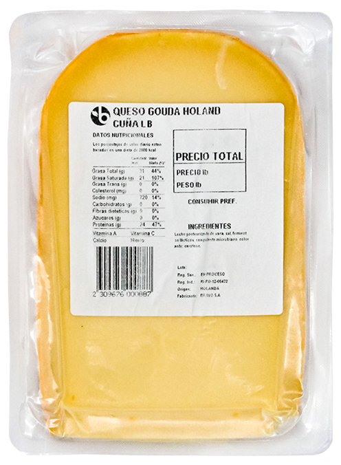 Queso Gouda Holand CuñaLB