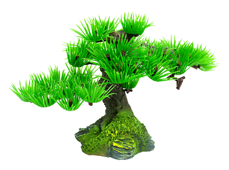 PLANTA DE ACUARIO BONSAI 21X8X15CM