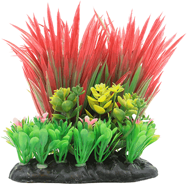 PLANTA DE ACUARIO C/BASE DUO MEDIUM 6.5