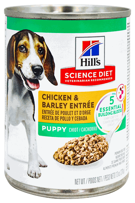HILLS SD PUPPY CHCKN & BARLEY ENTRE 13OZ