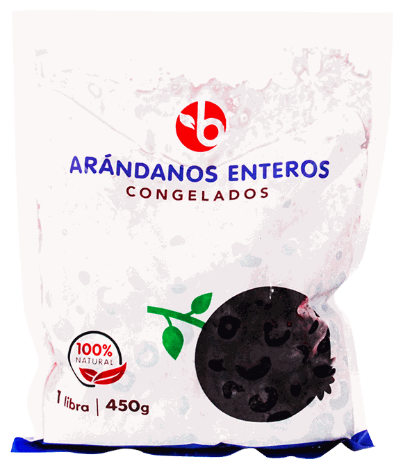 BRAVO ARANDANOS 450 GR