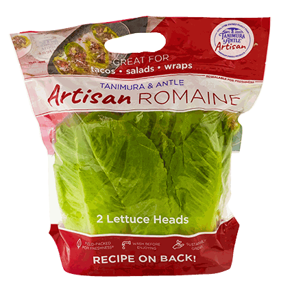 ARTISAN ROMAINE 2/1